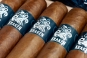 Zigarre Condega Kraken Miticos 4,5X70 