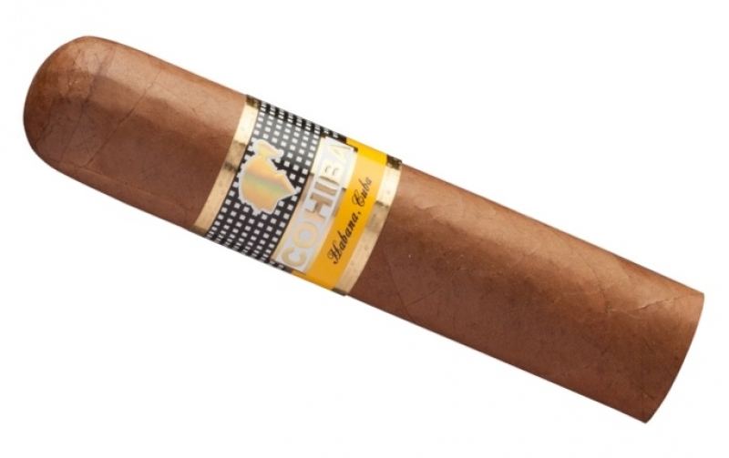 https://www.humidor-import.de/out/pictures/master/product/1/cohiba_medio_siglo_21_p1.jpg